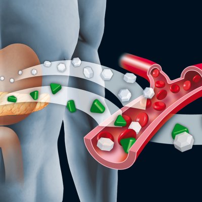 Reduced growth hormone receptor signalling improves insulin signalling within the body.